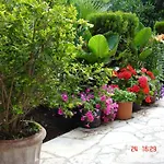 Epi Apartament