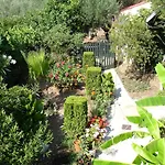 Epi Lourdata (Kefalonia)