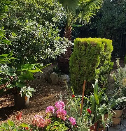 Epi * لورداهاتا