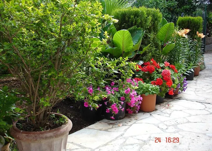 Epi Apartament