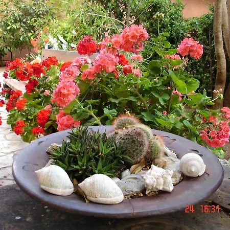 Epi Lourdata (Kefalonia)